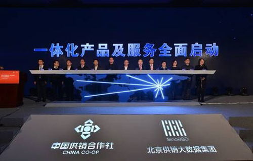 智慧协同，数据赋能——大数据服务助推北京“四个中心”建设