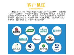 大数据营销软件售后难题与全方位服务体系构建